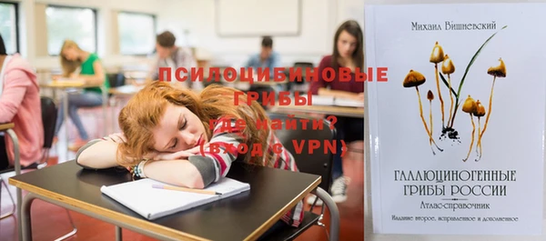 кокс Арсеньев