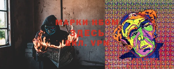 винт Аркадак