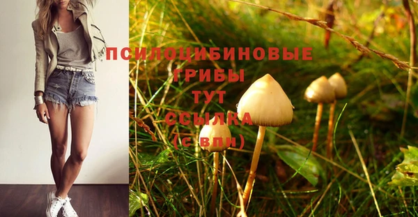 крисы Армянск