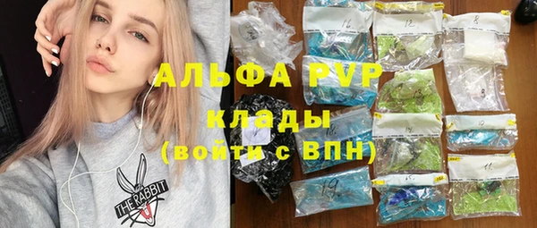 крисы Армянск